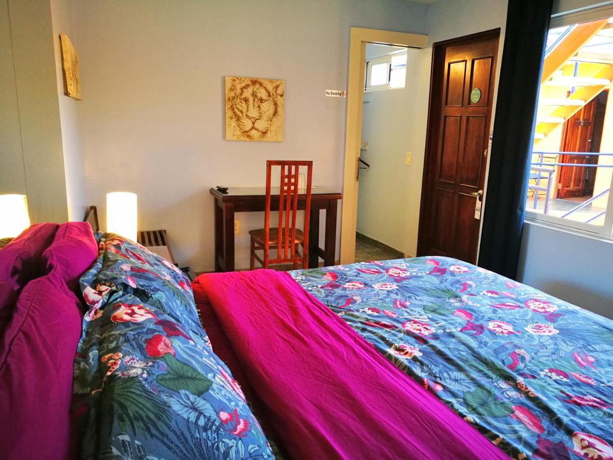 سان هوزيه Hotel Casa 69 المظهر الخارجي الصورة
